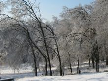 icestorm001.jpg