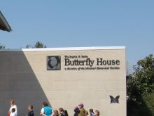 zbutterflyhouse.jpg