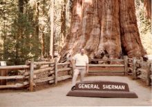 dad-by-generalShermanTree-1983.jpg